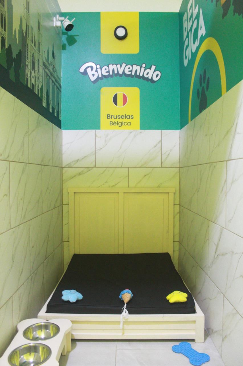Junior Suite - Bélgica - Imagen 3