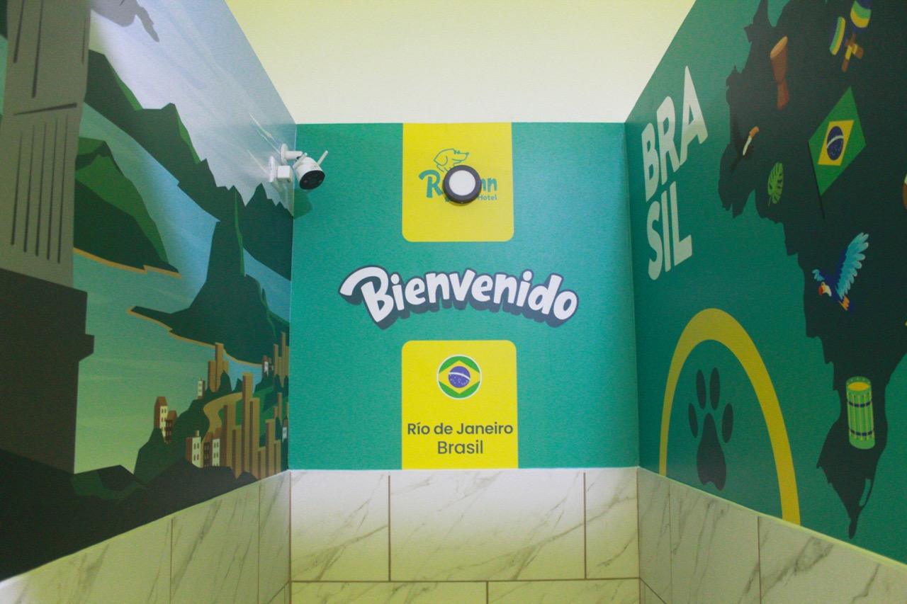 Junior Suite - Brasil - Imagen 2