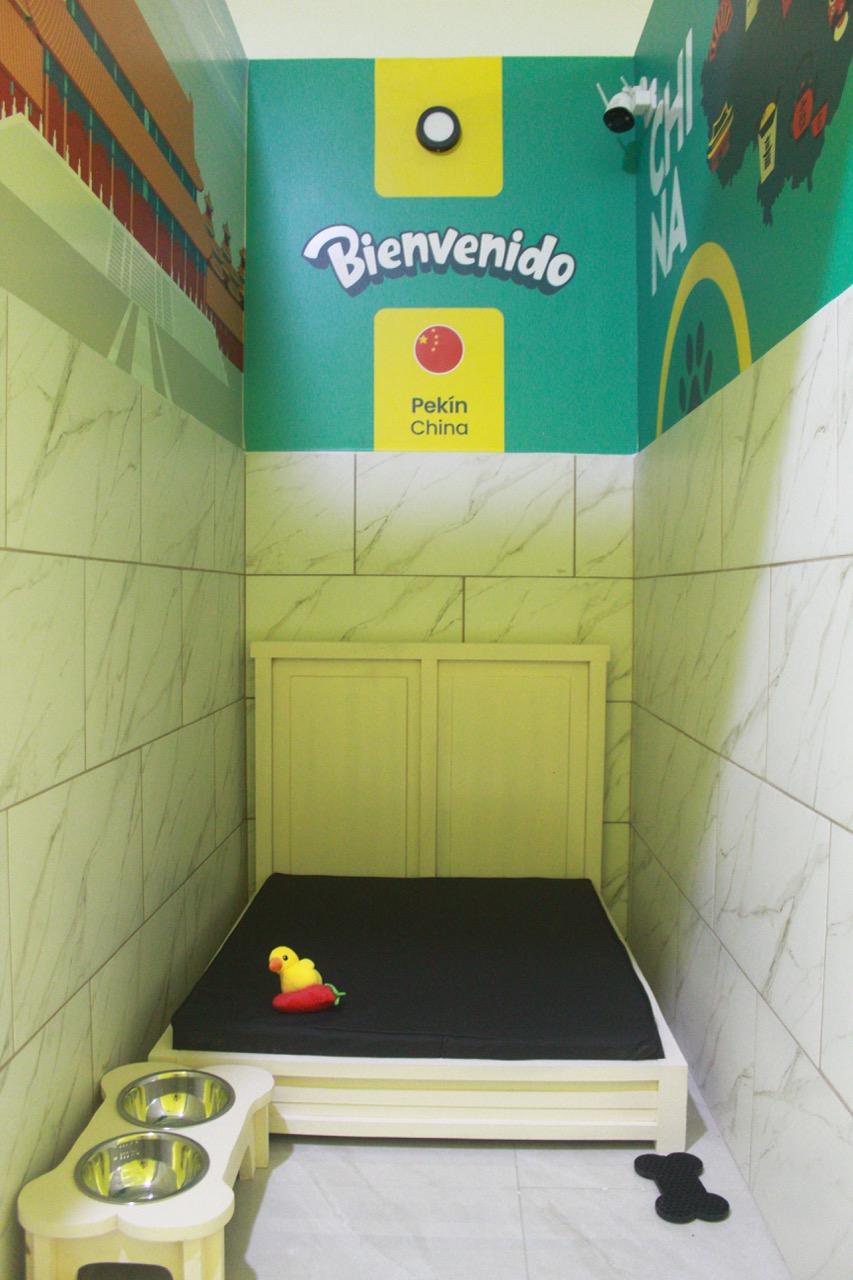 Junior Suite - China - Imagen 2