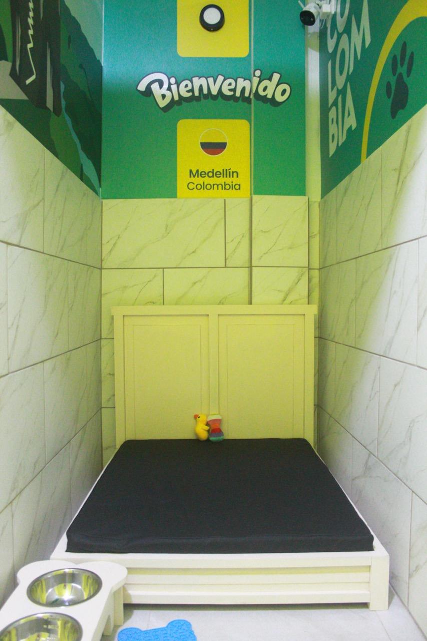 Junior Suite - Colombia - Imagen 3