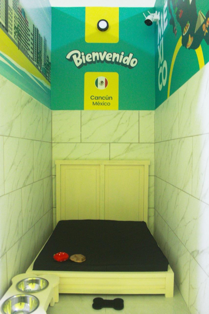 Junior Suite - México - Imagen 3