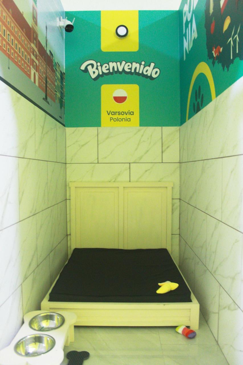 Junior Suite - Polonia - Imagen 3