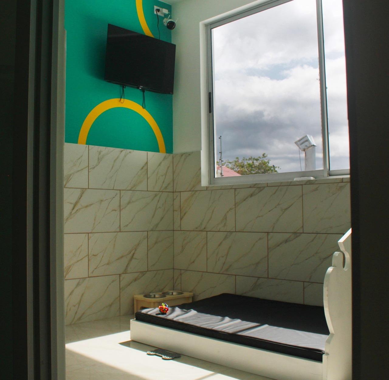 Suite Deluxe - Inglaterra - Imagen 4