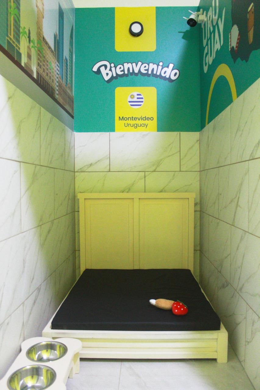 Junior Suite - Uruguay - Imagen 3